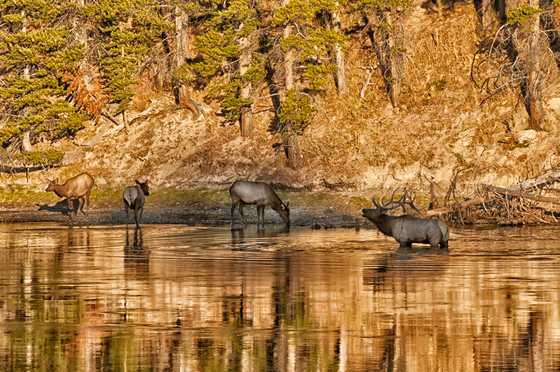 Yellowstone National Park