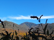 Great Smoky National Park