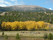 ROCKY MOUNTAIN NATIONAL PARK