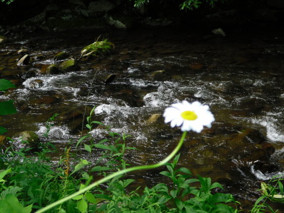 Great Smokie Mountains National Park