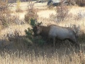 ROCKY MOUNTAIN NATIONAL PARK 
