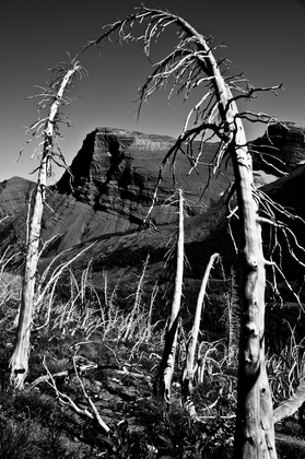 Glacier National Park
