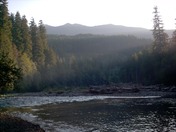 Gifford Pinchot National Forest