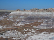 Petrified Forest \ Painted Desert