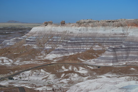 Petrified Forest \ Painted Desert