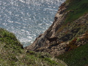 Point Reyes National Seashore