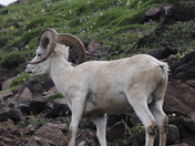 Denali National Park & Preserve