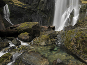 Santiam National Forest