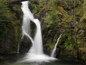 Santiam National Forest