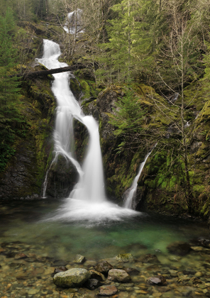 Santiam National Forest