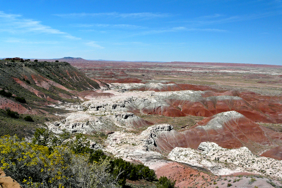 Petrified Forest National Park AZ