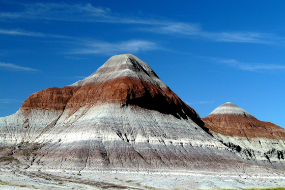 Petrified Forest National Park  AZ