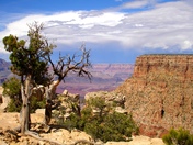Grand Canyon National Park