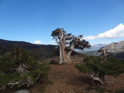 Desolation WIlderness