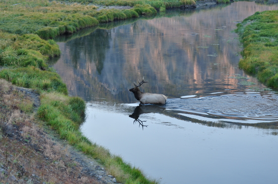 Yellowstone National Park
