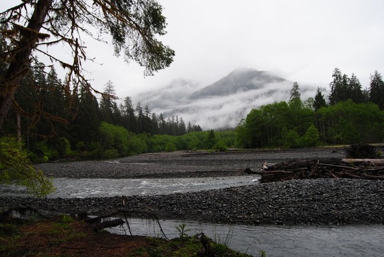 Olympic National Park