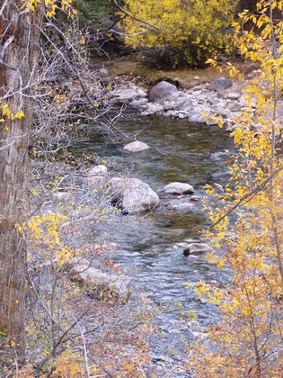 Rockie Mountain National Park 