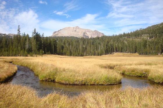 Lassen