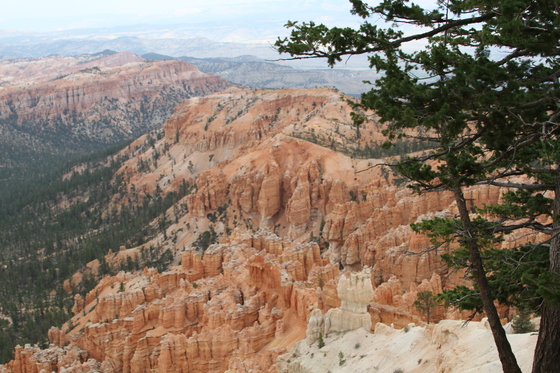 BRYCE CANON NATIONAL PARK