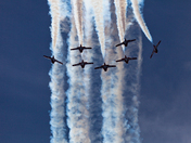 Snowbirds Break!