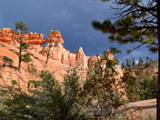 Bryce National Park