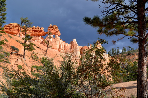 Bryce National Park