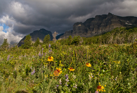 Glacier National Park