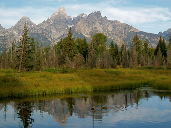 Grand Teton National Park