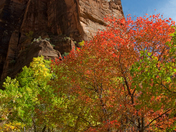 Zion National Park
