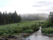 Denali National Park