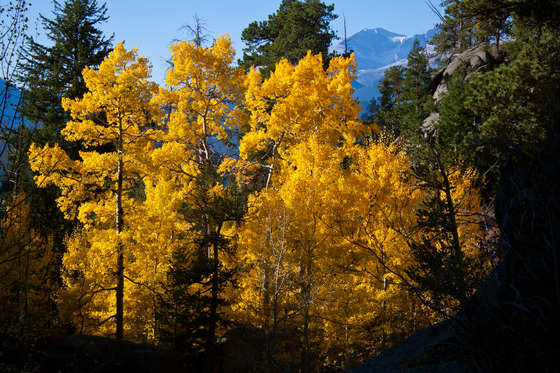 Rocky Mountain National Park