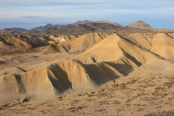 Big Bend National Park