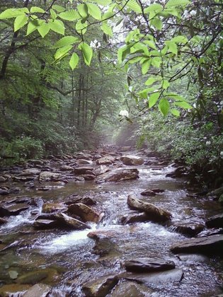 Great Smoky Mountains National Park