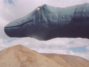 Dinosaur National Monument