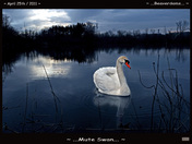 Swan Lake