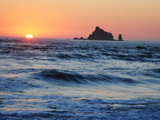 Olympic national park