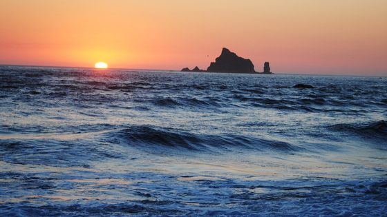 Olympic national park