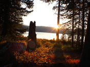 Grand Mesa National Forest