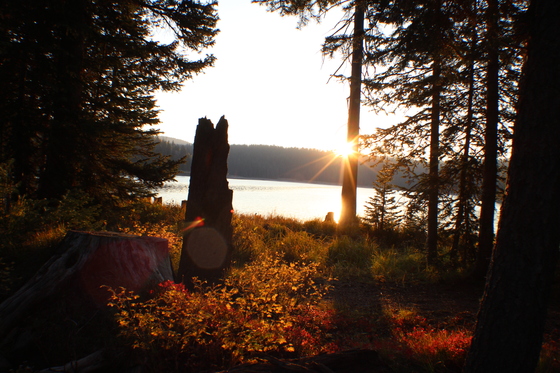Grand Mesa National Forest