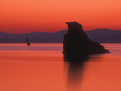 Inyo National Forest