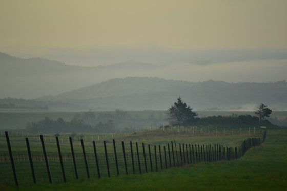 Wichita Mountains Wildlife Refuge