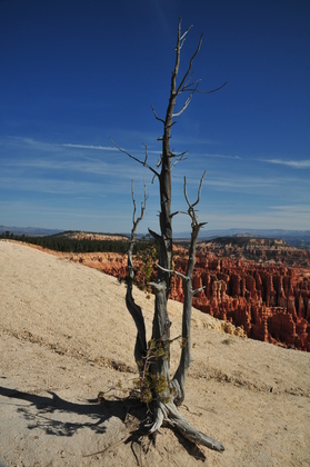 Bryce Canyon Utah