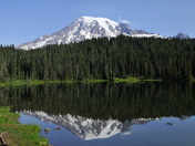 Mt. Rainer National Park