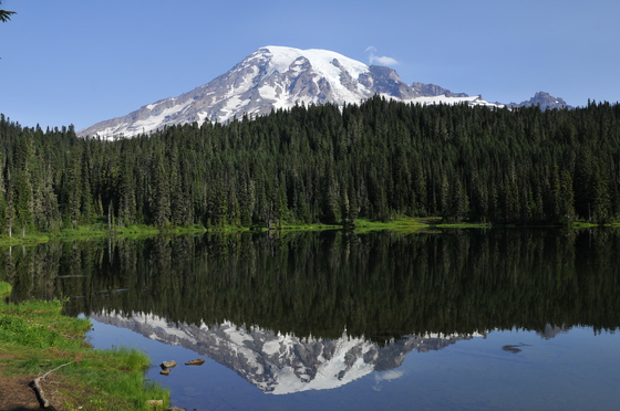 Mt. Rainer National Park