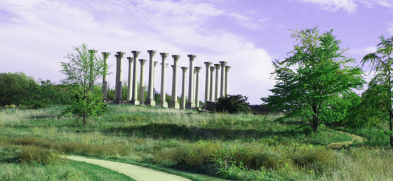 NATIONAL ARBORETUM