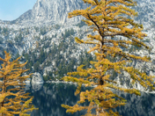 Okanogan-Wenatchee National Forest