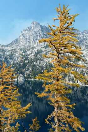 Okanogan-Wenatchee National Forest