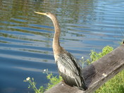Everglades National Park