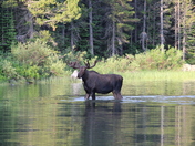 Glacier National Park