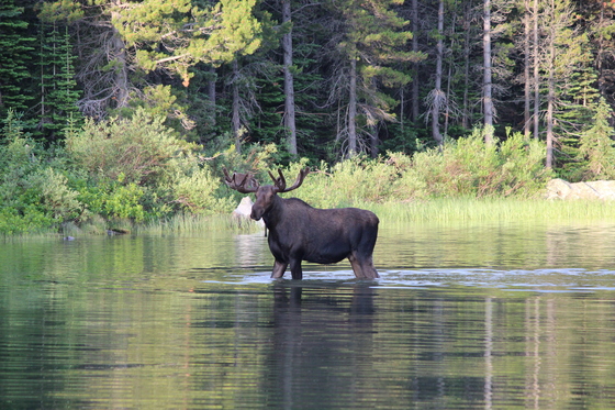 Glacier National Park